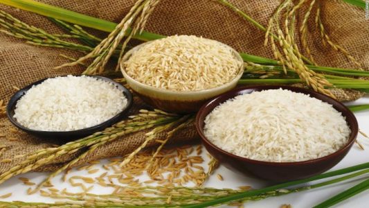 rice-featured-image