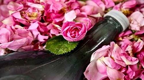 رونمایی از گلاب سیاه در دانشگاه علوم پزشکی تهران