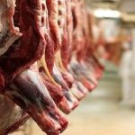 واردات گوشت