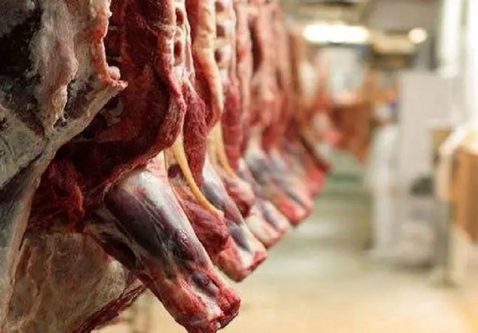 واردات گوشت